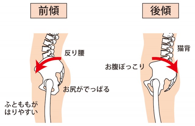 骨