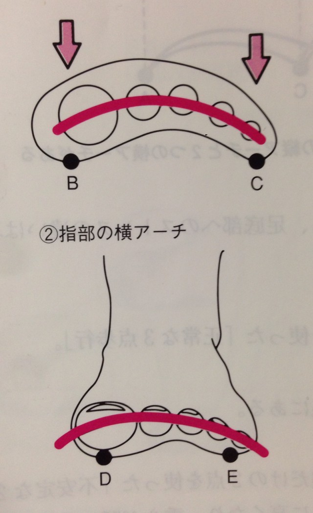 足裏アーチ
