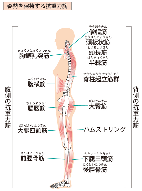 姿勢