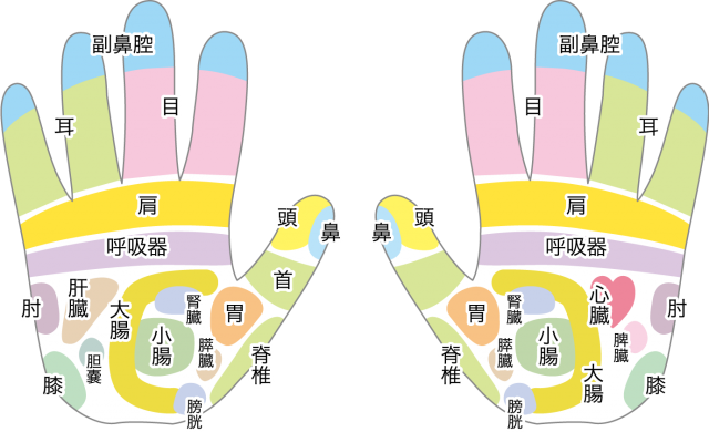 手の反射区