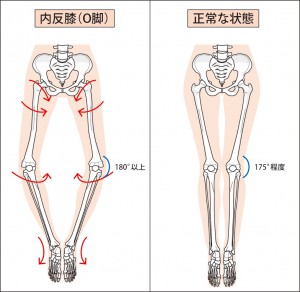 okyaku